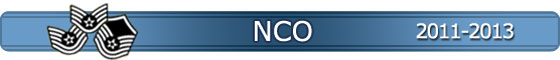 2011-2013 NCO